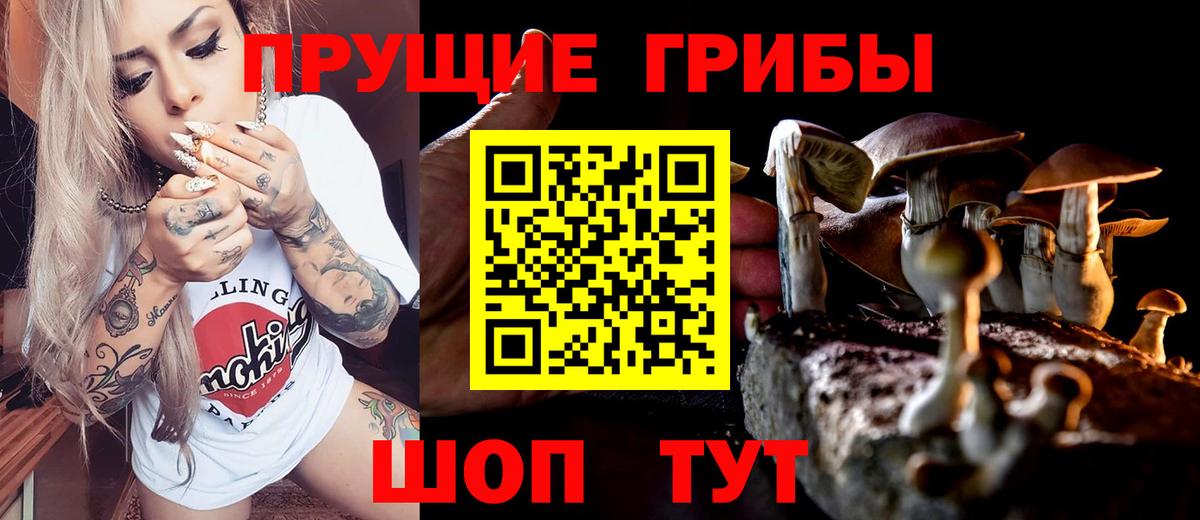 Псилоцибиновые грибы Psilocybe  купить   Саратов  Вход с VPN 